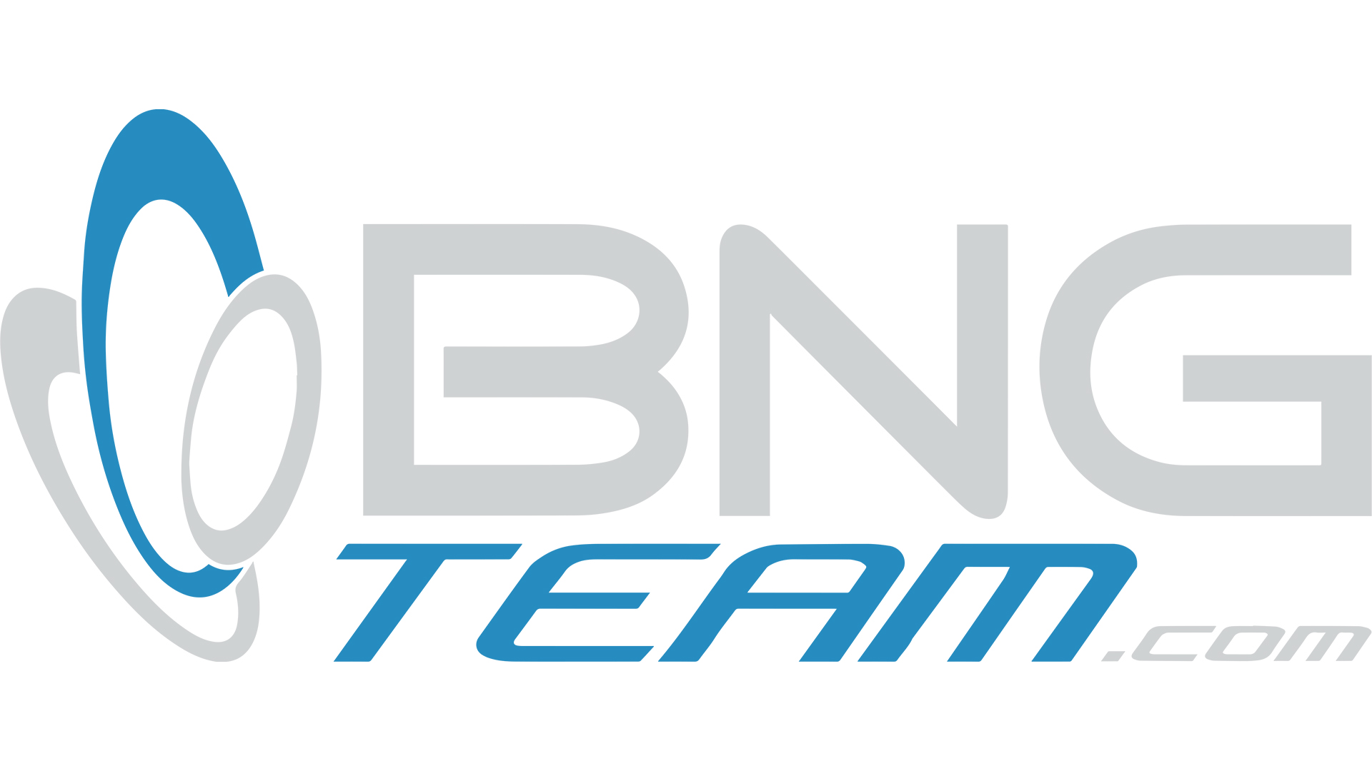 BNG Team Logo_EDA Website_1900x1080